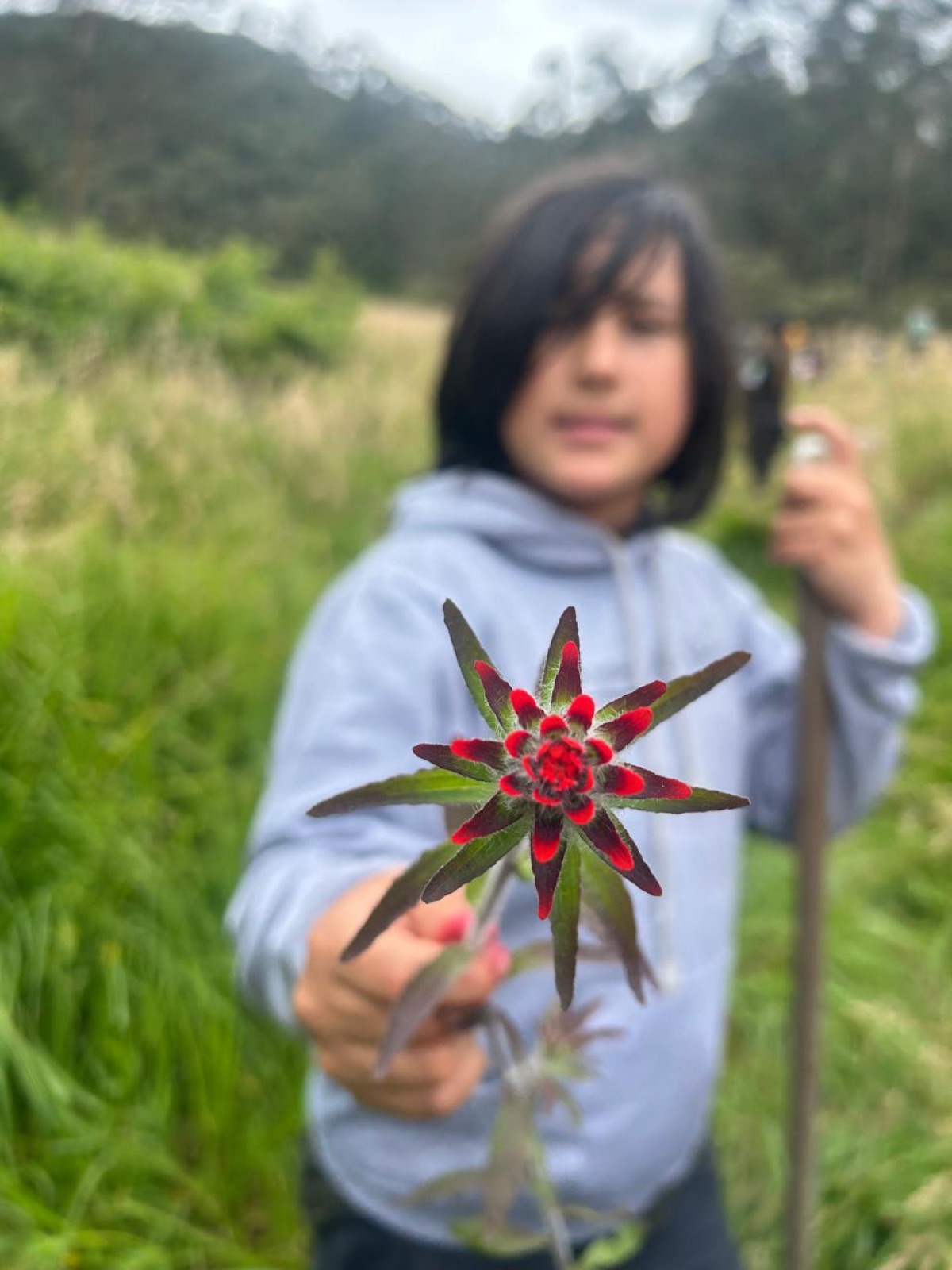 Estudiante de Alborada observa una flor en un paisaje natural